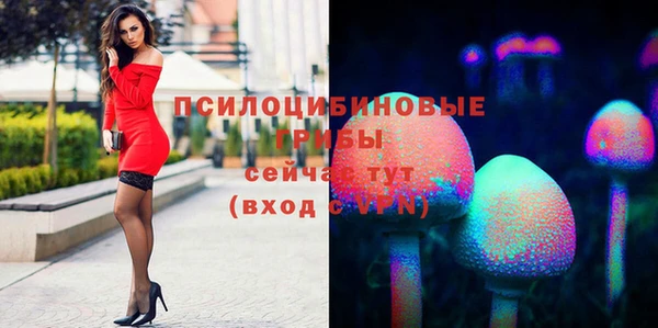PSILOCYBIN Лиски