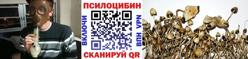 Псилоцибиновые грибы мицелий  Рошаль 